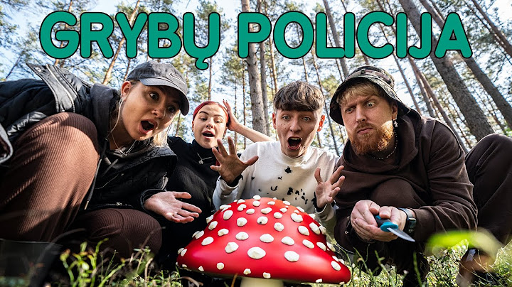 GRYBŲ POLICIJA | Talžūnas, Aqva, STIMOMEDIA ir Silvija | Pildyk