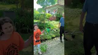 Kids getting drone helicopters caught in trees lol #funny