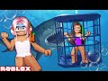 WE WENT CAGE DIVING WITH SHARKS | Roblox Sharkbite