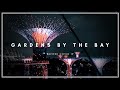 Gardens By The Bay  - Before the Pandemic