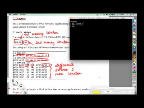 WEEK1: Debug Command Compare