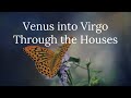 Venus into Virgo Through the Houses