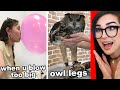 Cool things i learned on tiktok