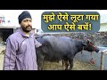 डेरी फार्म शुरू करने की जरूरी बातें|How to Start Dairy farm & buy Buffalo+feed