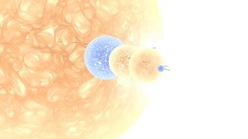 Universe Sandbox 2 - Star Size Comparison