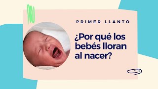 Por Qué Los Bebés Lloran Al Nacer La Sorprendente Verdad Detrás Del Primer Llanto