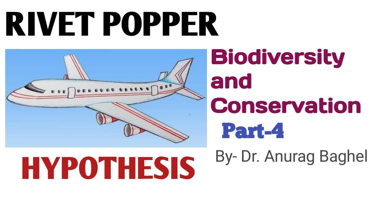 rivet popper hypothesis class 12