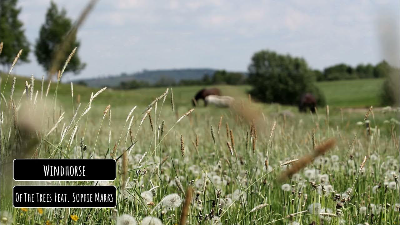 Of The Trees Feat. Sophie Marks Windhorse YouTube