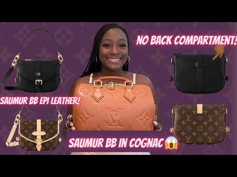 LV Saumur BB Monogram Bag 