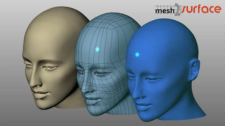 Mesh2Surface Overview