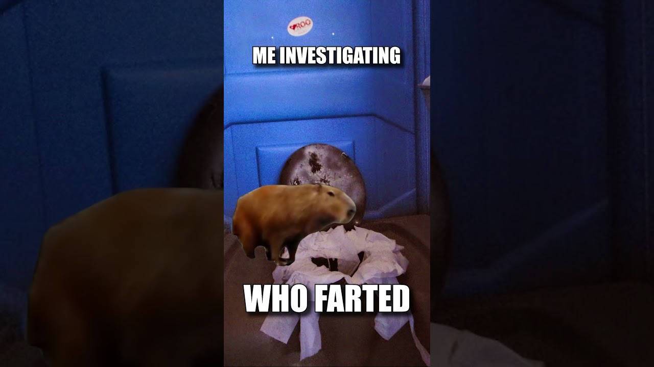Okay I Pull Up Capybara At The Port-A-Potty