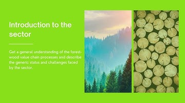 INTRUST - Introduction to Module 1 - Sustainability in the forest-wood value chain