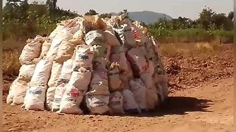 Nyob zoo os nov yog peb zom qos ziab nawb ib tsoom me phooj ywg thov tsa tes pub 6 peb  thiab os