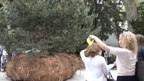 TransHumUs: A Poetic Experience in Mobile Robotics