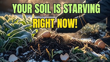 These 5 Winter Tasks Transform Your Soil by Spring | GreenSpace Inspirations
