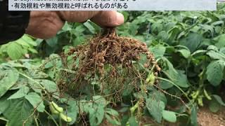 2020植物バイオテクノロジー概論 2