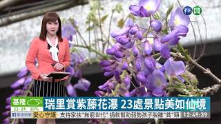 瑞里賞紫藤花瀑23處景點美如仙境| 華視新聞20200320