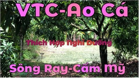 Bán Vườn Trái Cây Đẹp - Ao Cá - Về Xây Nhà Vườn Bao Đẹp - 9292m2 Cách Chợ Sông Say - Cẩm Mỹ 3 km