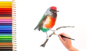 Simple steps to learn how to draw and paint bird using watercolor, basic watercolor 水彩画基础教程 如何用水彩画鸟