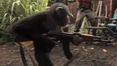 First week with onetap.su FT. AIMWARE.NET