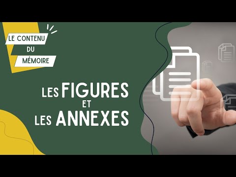 Vidéo: Où se trouve l'annexe ?