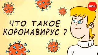 Что такое коронавирус? [TED-Ed]