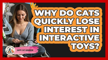 Why Do Cats Quickly Lose Interest In Interactive Toys? - Happy Cat Handbook