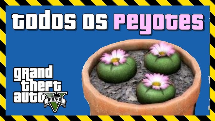 GTA 5 (Grand Theft Auto V): Guia completo : Peiotes