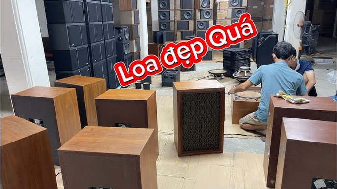 Các Loa Ngoài Phù Hợp với Tivi Toshiba