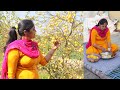 🍋 🍋 Lemon Pickle Recipe 💚 Nimbu Ka Achaar🧡 Village Life of Punjab India ♥️ Indian Rural life