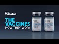 How will the AstraZeneca and Pfizer COVID vaccines work once they