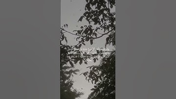 تلاوة حزينة من سورة الأنعام