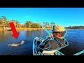 I Threw ONE LURE until I Caught DINNER!