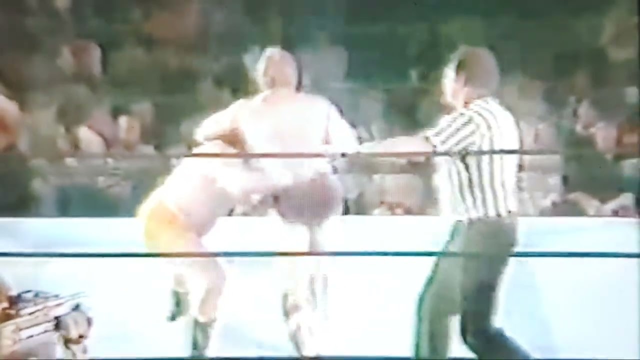 tim horner vs tony russo 1984