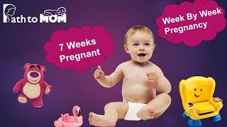 Pregnancy Week By Week | 7 Weeks Pregnant | Pregnancy Stages & Fetal Development | Path to Mom