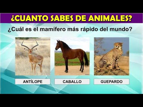¿Cuánto sabes de