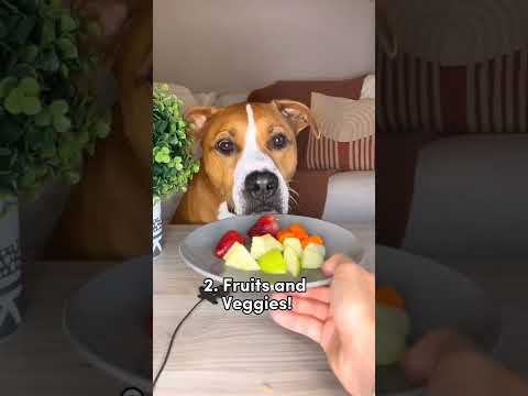 Wideo: Jak ostrzyć zęby psa?
