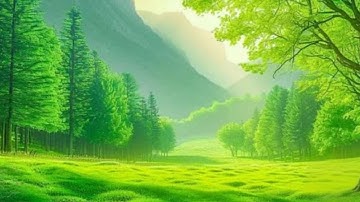 سورة الحج كاملة بصوت القارئ احمد خضر 
