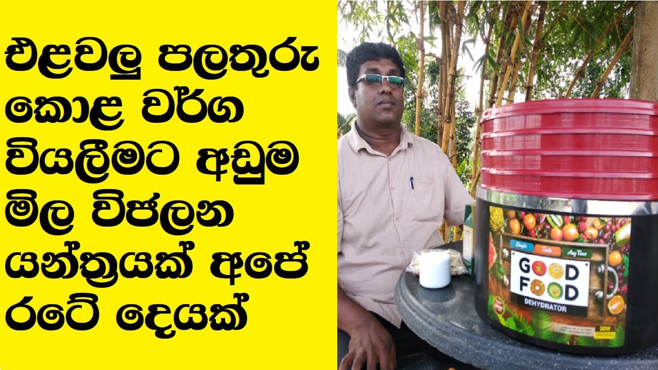 Cheapest Food Dehydrator Machine in Sri Lanka 