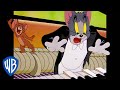 Tom und Jerry auf Deutsch | Die besten Momente | WB Kids