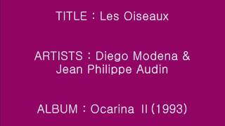 Video thumbnail of "Les Oiseaux - Diego Modena & Jean Philippe Audin_Instrumental"