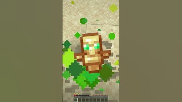 How to use a TOTEM OF UNDYING