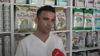 Dozvoljeno Klanje I Premještaje Svinja, Ali Uz Poštovanje Propisa