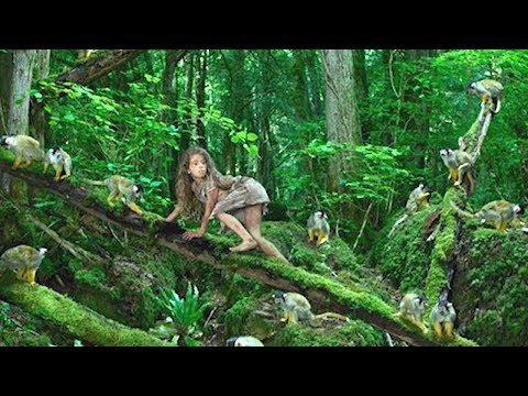 Vidéo: Nina Trouvée Dans La Forêt Vivant Avec Des Singes
