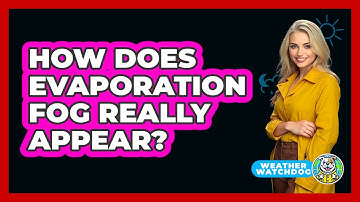 How Does Evaporation Fog Really Appear? - Weather Watchdog