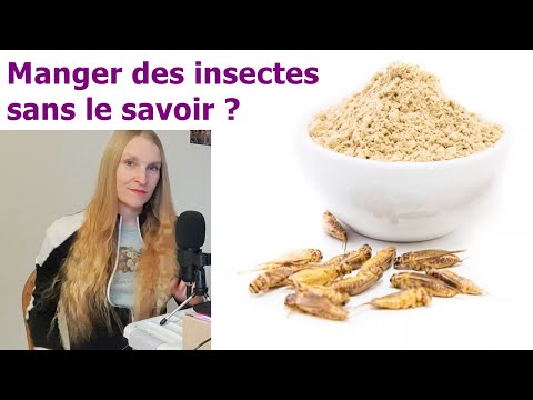 Vidéo: Pourquoi les grillons gazouillent-ils constamment ?