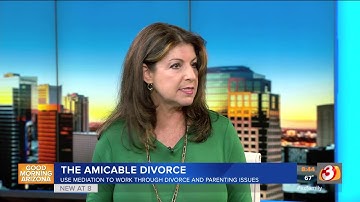VIDEO: The amicable divorce