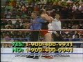 WWF Survivor Series Showdown 1991