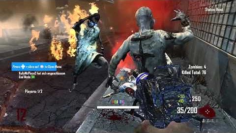 [Black Ops 2 Wii U] Zombie Spawning + Total Kills Display Mods