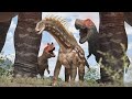 PLAYING THE BIGGEST DINOSAURS IN THE GAME!!! | Path Of Titans